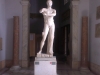 IMAG0134